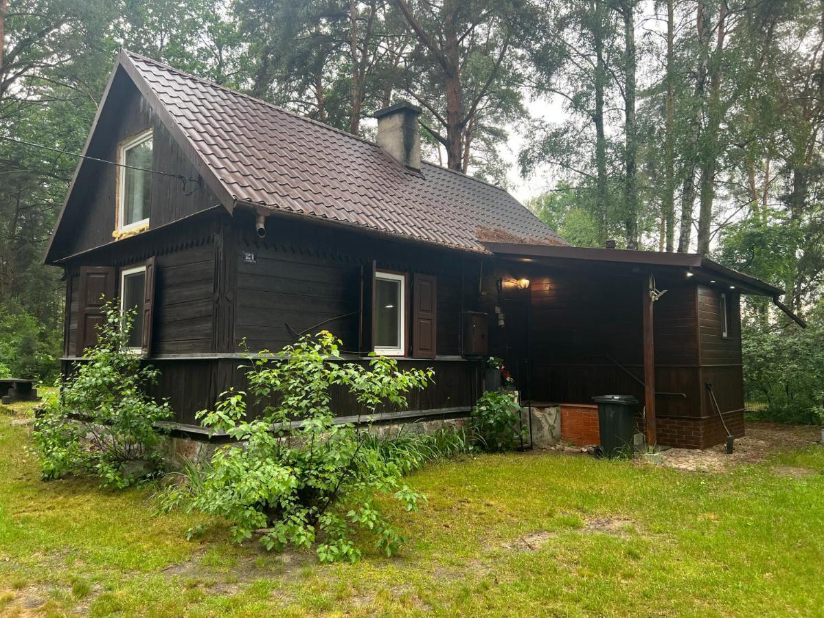 Ranczo Wilkowyja Villa Wilkowyja  Eksteriør billede
