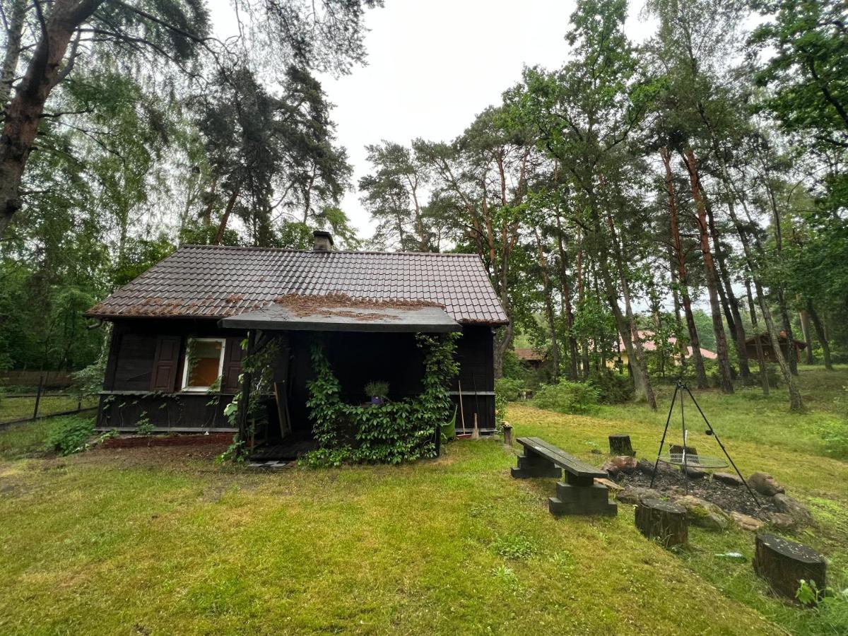 Ranczo Wilkowyja Villa Wilkowyja  Eksteriør billede