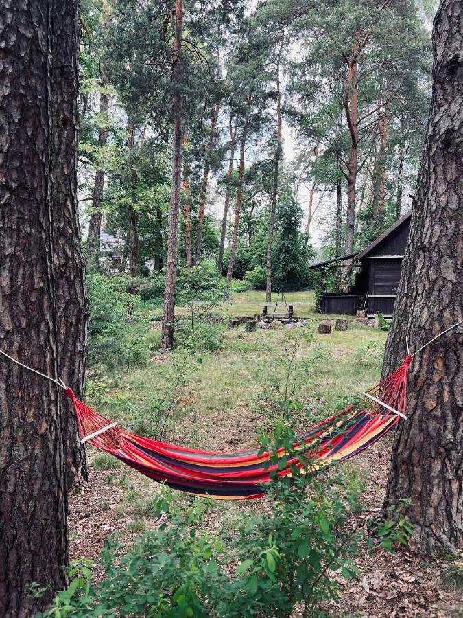 Ranczo Wilkowyja Villa Wilkowyja  Eksteriør billede
