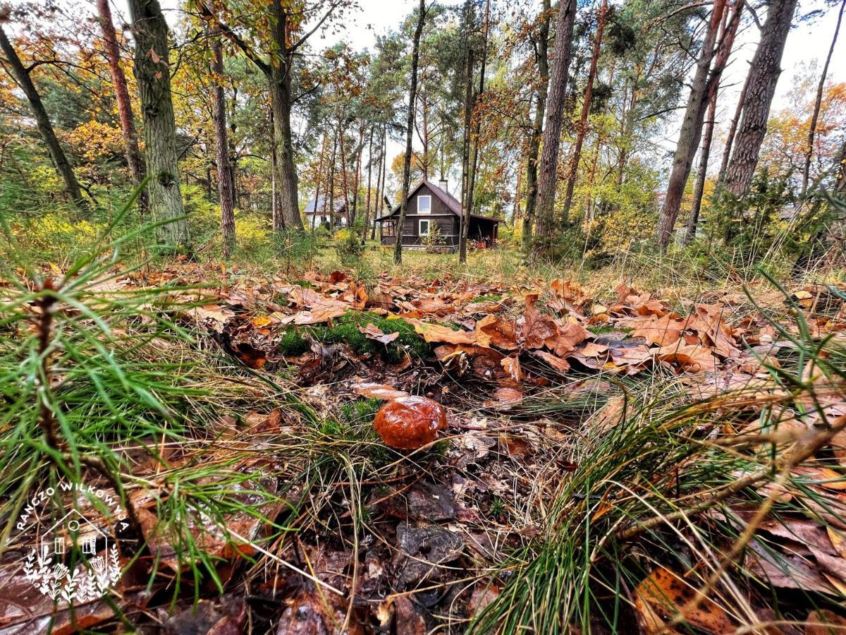 Ranczo Wilkowyja Villa Wilkowyja  Eksteriør billede